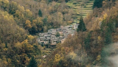 Estreno internacional de BOSCO en el festival IDFA